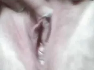 レズビアンの美しさは慎重にお互いの猫を舐 ...